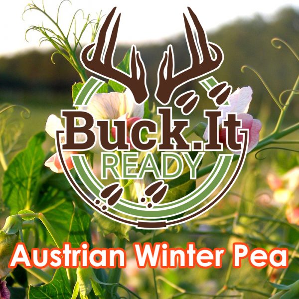 Buck.It Ready Austrian Winter Pea