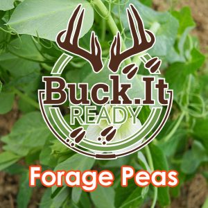 Buck.It Ready Forage Peas