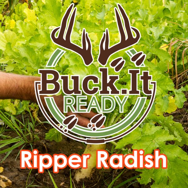 Buck.It Ready Ripper Radish