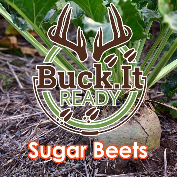 Buck.It Ready Sugar Beets